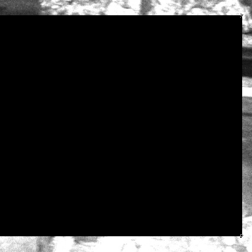 masked_image_46.png